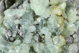 Green Prehnite Crystal Cluster - Morocco #80688-1